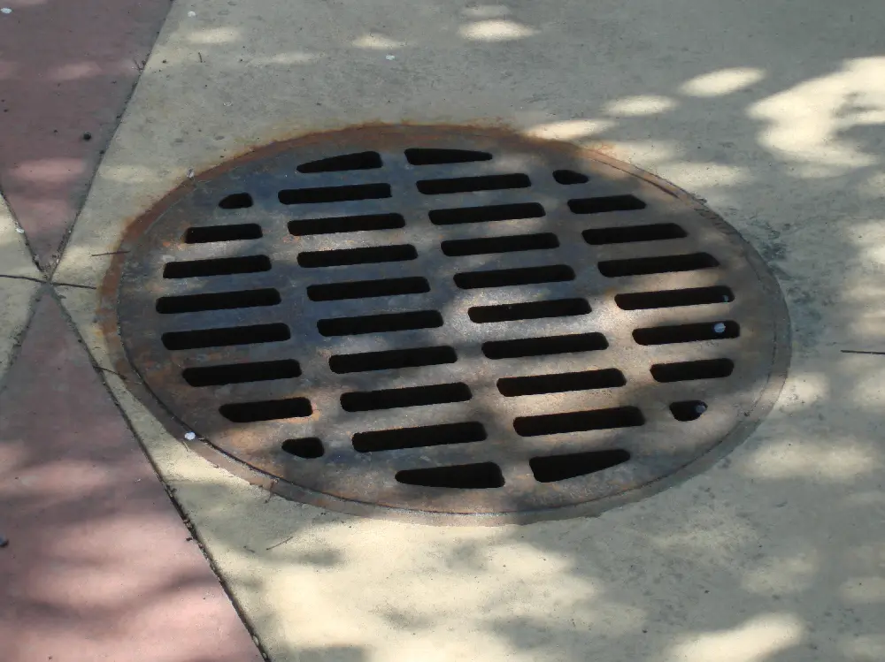 Storm drain grate at curb level after rainfall