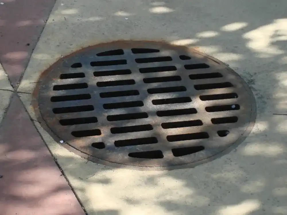 Storm drain grate at curb level after rainfall