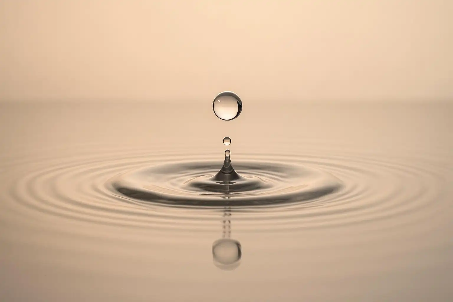 Ultimate Guide to Leak Detection for Water Savings - Hernandez Plumbing blog article