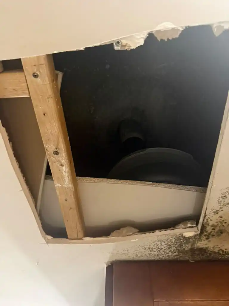 Plumber opened a ceiling to a leaking PVC drain with a catch bucket and mold.
