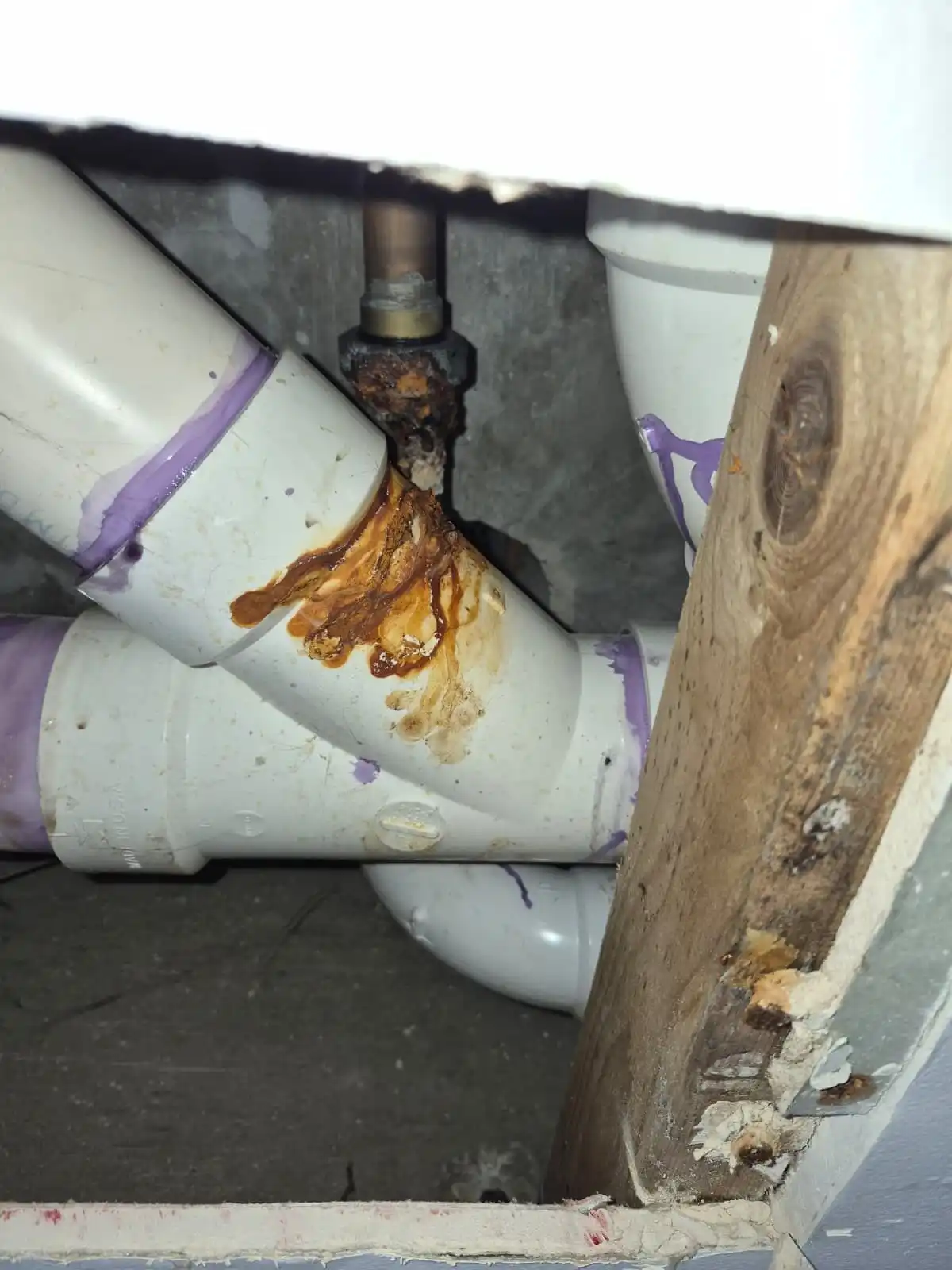 Hernandez Plumbing inspecting a leaking copper-to-galvanized joint dripping onto a PVC wye in a home ceiling cavity.