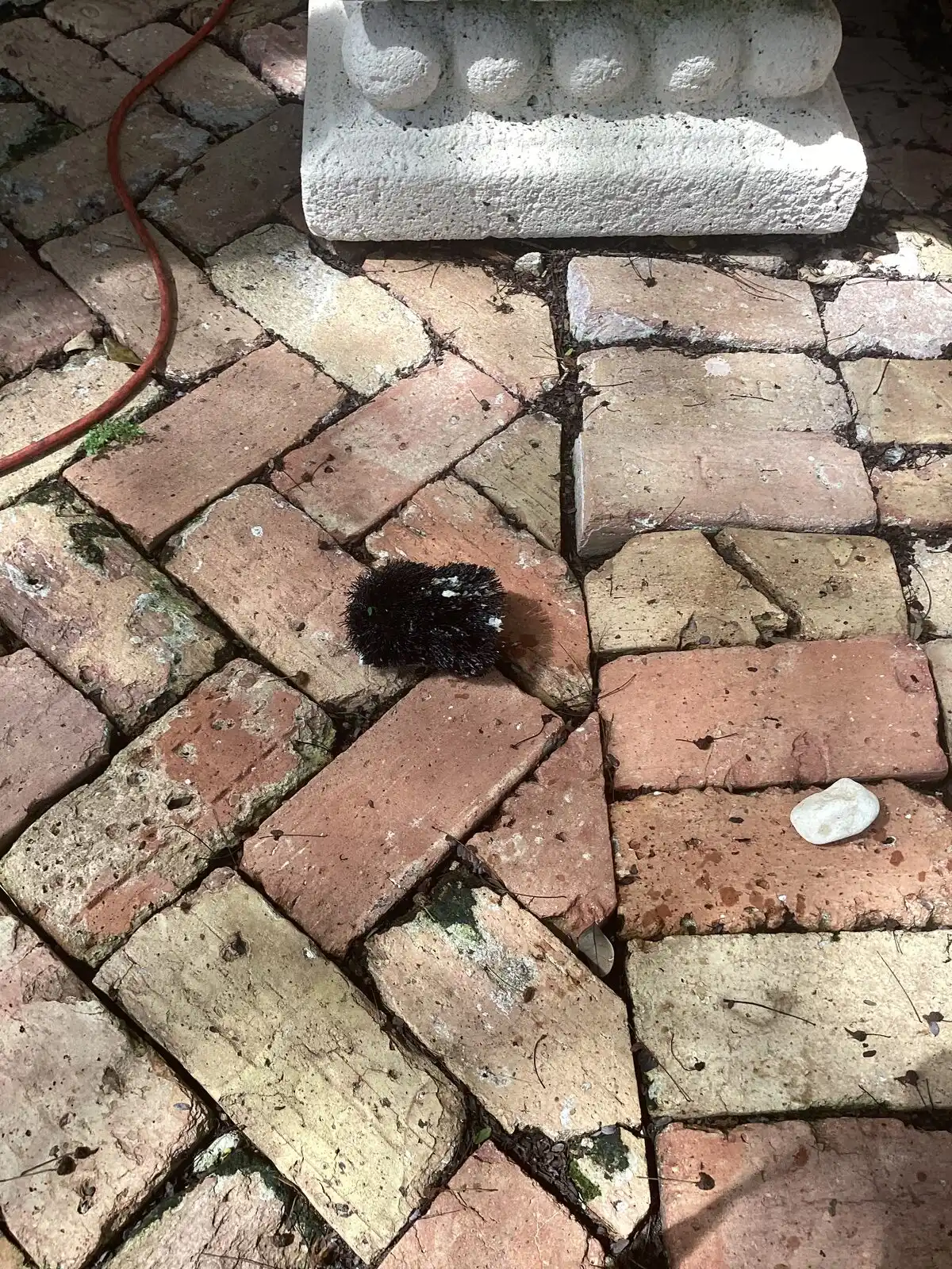 Drain-cleaning brush used on a home plumbing job, on a brick patio.