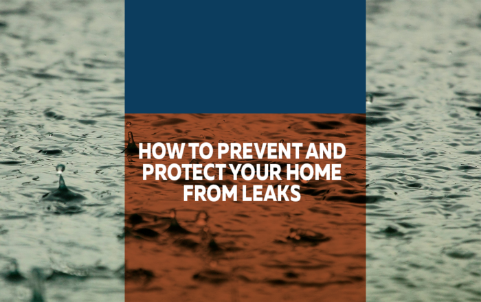 Home Leaks